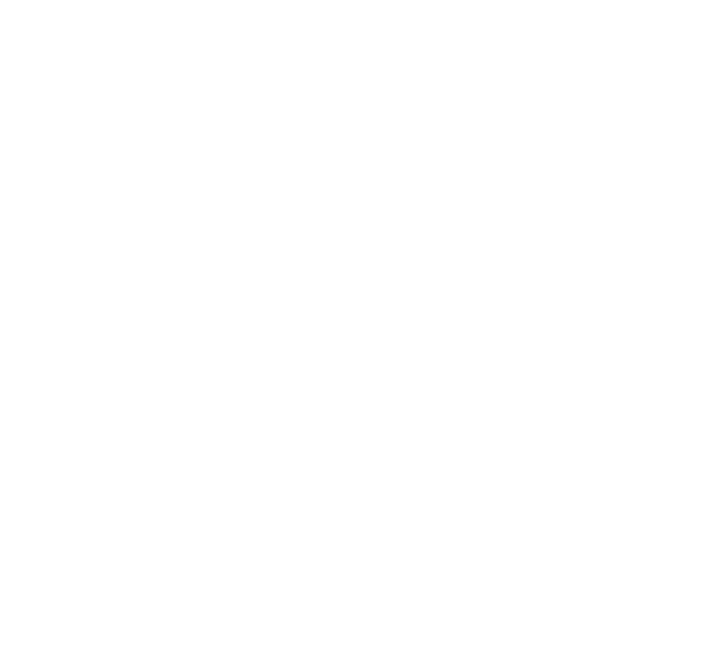logo9